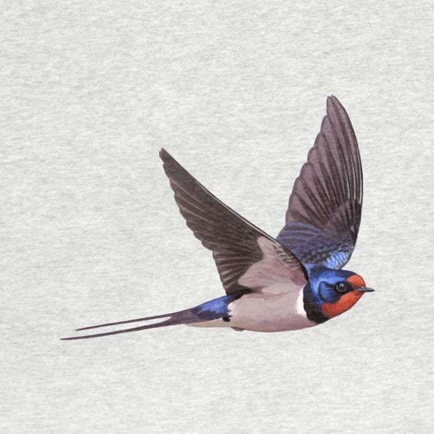 Barn Swallow by kokayart